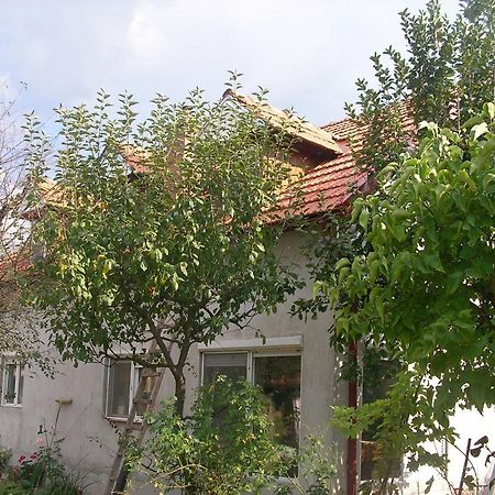 Reb/Mar Romspa Brad (Hunedoara) Exterior foto
