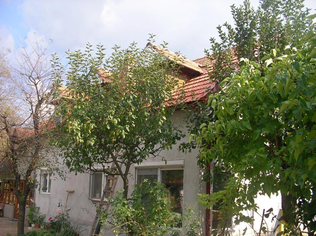 Reb/Mar Romspa Brad (Hunedoara) Exterior foto